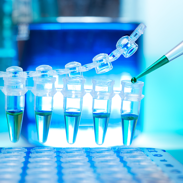 四甲基二丙三胺，確保聚氨酯泡沫的快速起發(fā)和均勻發(fā)泡膨脹