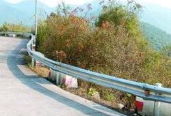 ��·����������o�ڵ�Ŀ�ĺ�����