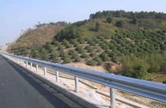 ��·�����o(h��)�ڰ�