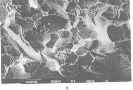 �D10һ175ʧЧ�o�ڔ��΢�^��ò���Db��