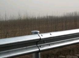 �����o�ڰ�r��