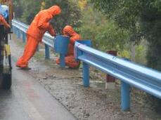 �����o(h��)�������Ř�