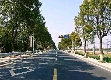 ��·�����o�ڵ�����